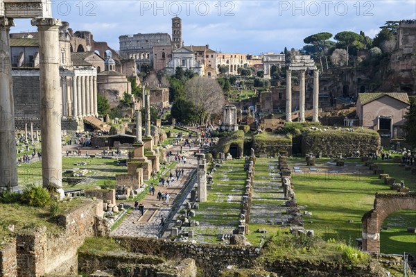 View of Basilica Julia Basilica Iulia