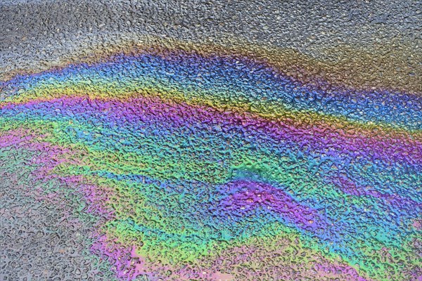 Environmentally harmful traces of oil on an asphalt road