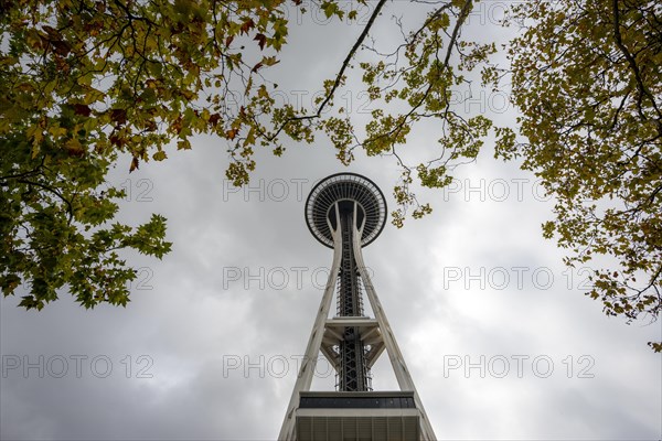 Space Needle with trees in autumn leaves