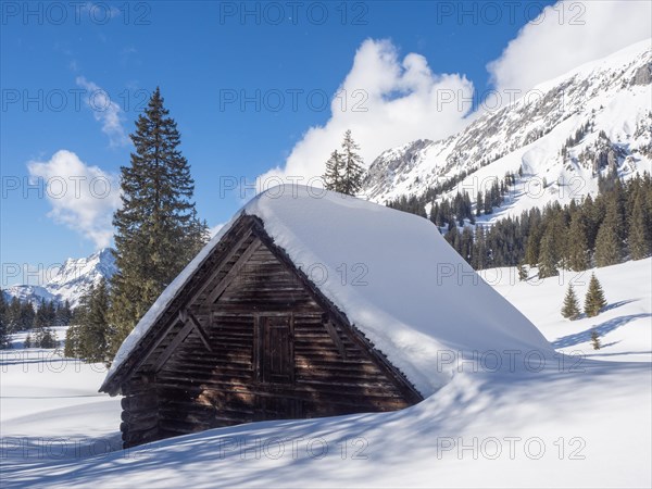 Winter landscape