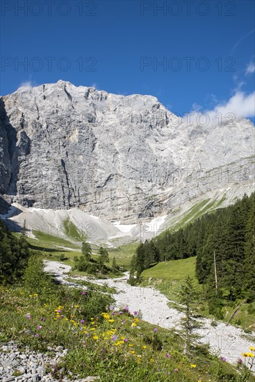 Enger Grund pasture area with dried-up stream bed of the Rissbach