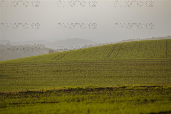 Autumn atmosphere in diffuse light in the fields