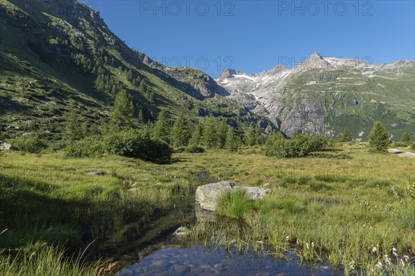 Landscape of the Rhone valley near the hamlet of Gletsch