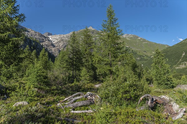 Landscape of the Rhone valley near the hamlet of Gletsch