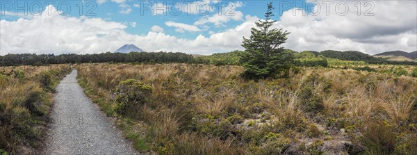 Taranaki Falls Track