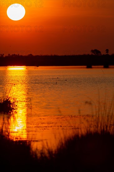 Sunset at Linyanti River