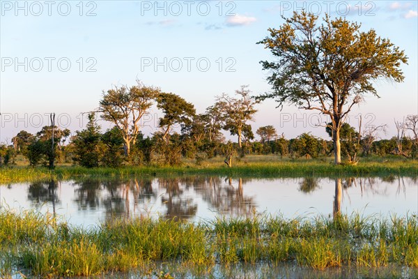 Waterscape at Little Vumbura Camp