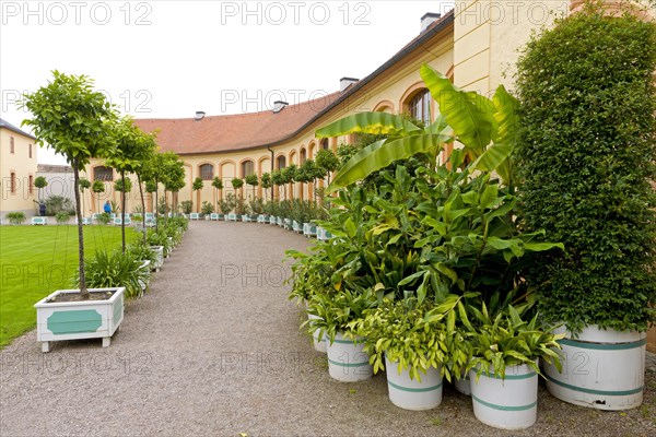 Orangery