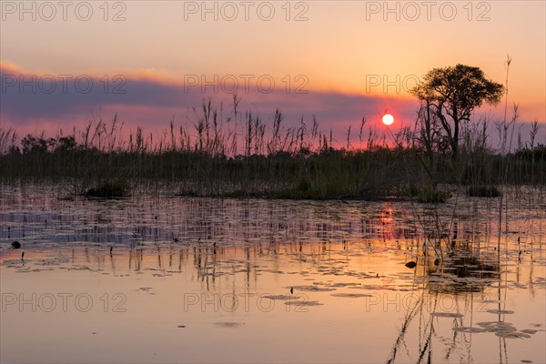 Sunset over the waterscape of the Okavango Delta