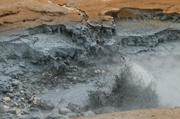 Bubbling mud spring in the Hveraroend geothermal area