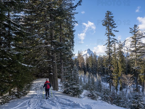 Snowshoe walker