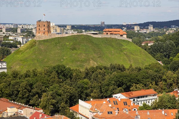 View of Gediminas Castle