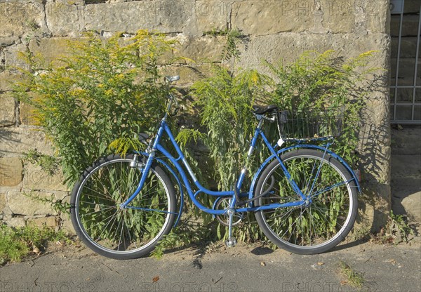 Blue bike