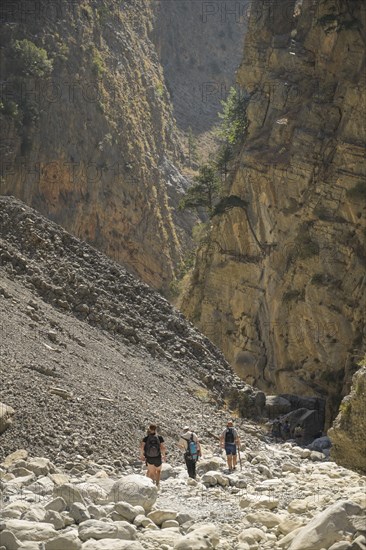 Hiking trail