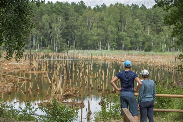 Muskau Arc Geopark