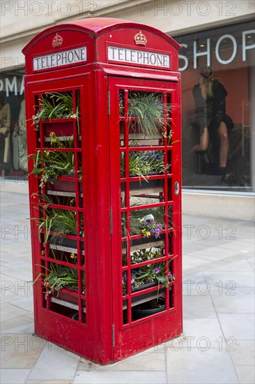 Old K2 red telephone box used for growing plants