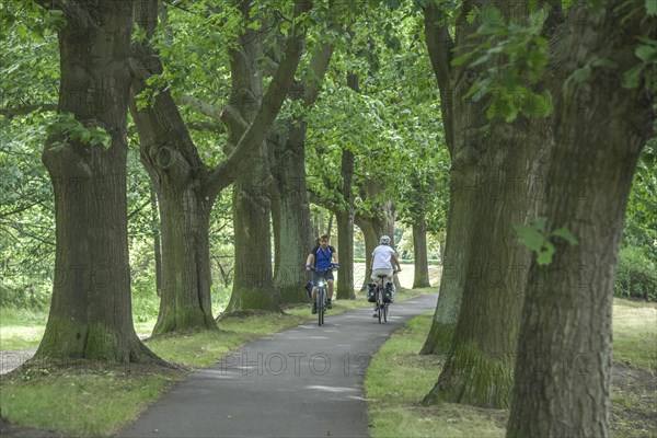 Cycle path on the Neisse dyke near Forst