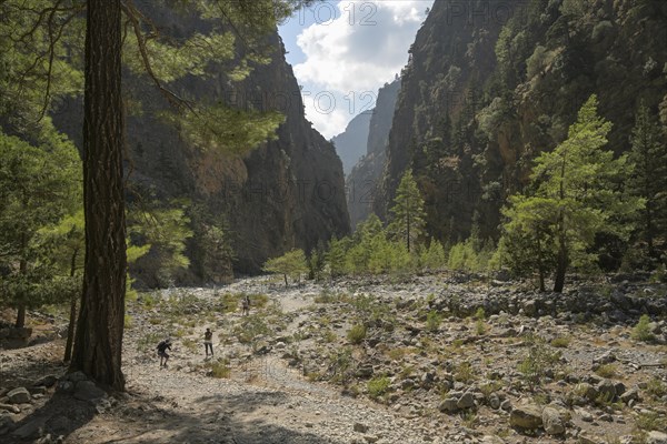 Hiking trail