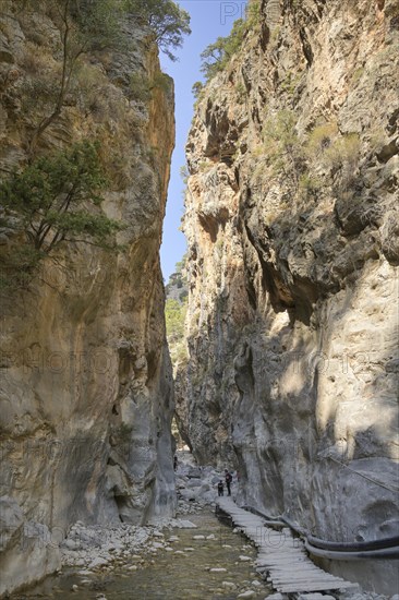 Hiking trail