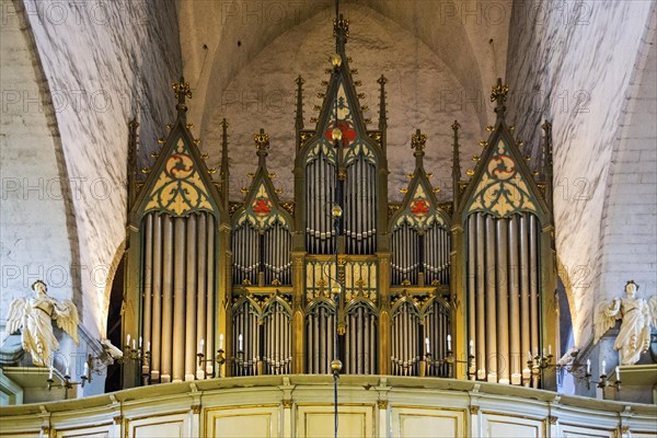 Organ of St. Mary's Cathedral Church