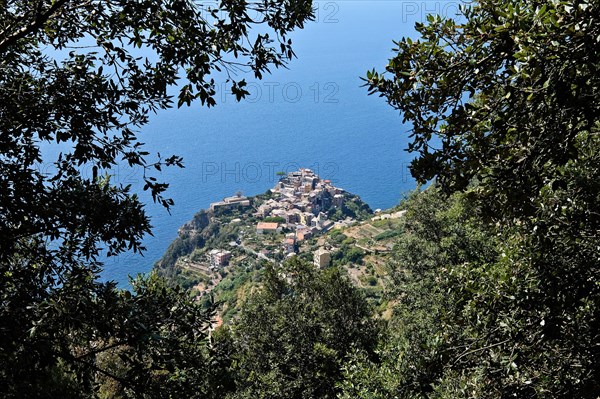 One of the 5 villages of the Cinque Terre on the Italian Riviera