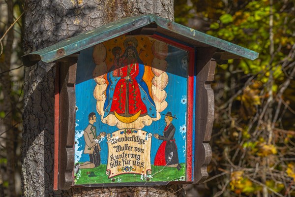 Supplication at the entrance to the magic forest