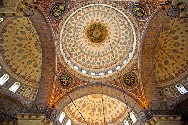 Multiple Domes of the New Mosque