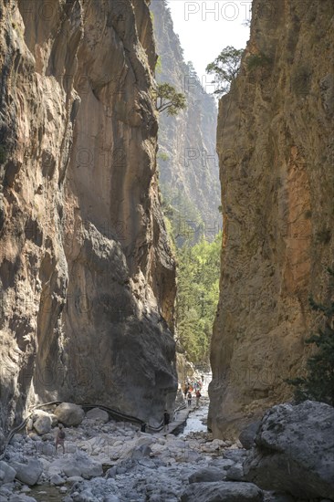 Hiking trail