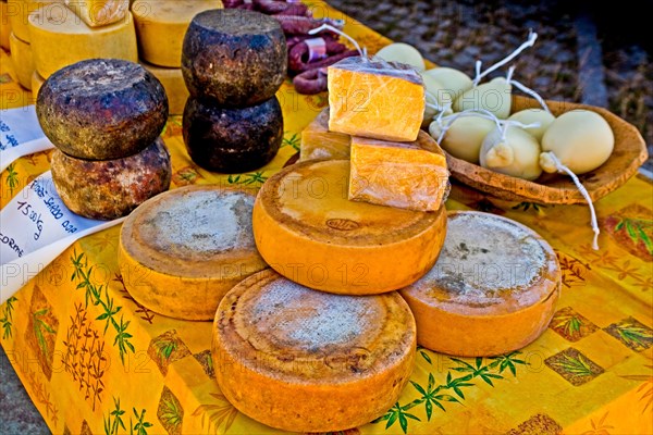 Cheese stall at market with peccorino