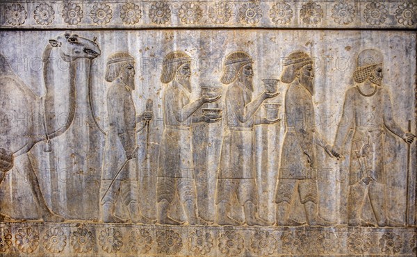 Relief detail of the delegation of nations bringing gifts to Darius on the steps of Apadana Palace