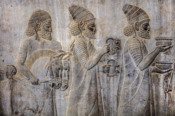 Relief detail of the delegation of nations bringing gifts to Darius on the steps of Apadana Palace