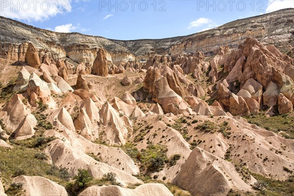 Pink Valley