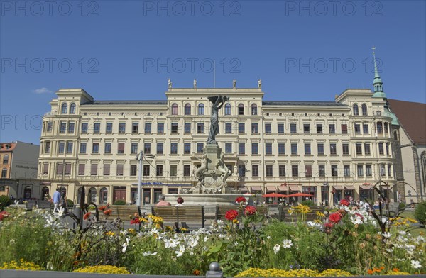 Fountain 'Muschelminna'