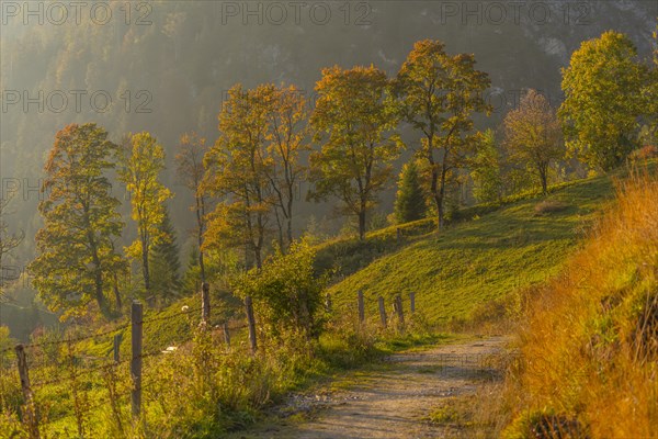 Hiking trail above the village