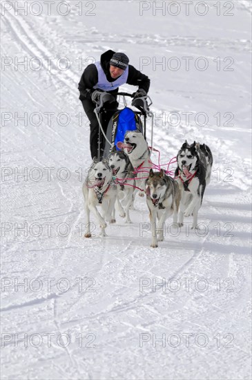 Musher with sled dog team