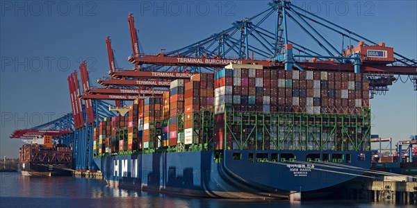 Container terminal Burchardkai with full container ship