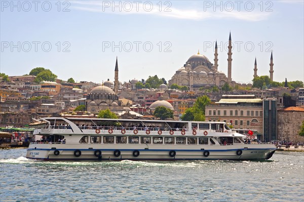View of Sueleyman Mosque from the Golden Horn
