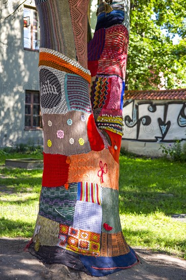 Crocheted Baeme in the Old Town