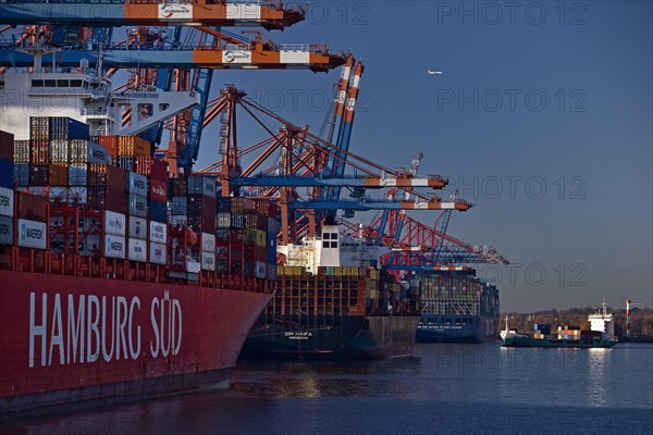 Container ships at the Eurogate container terminal