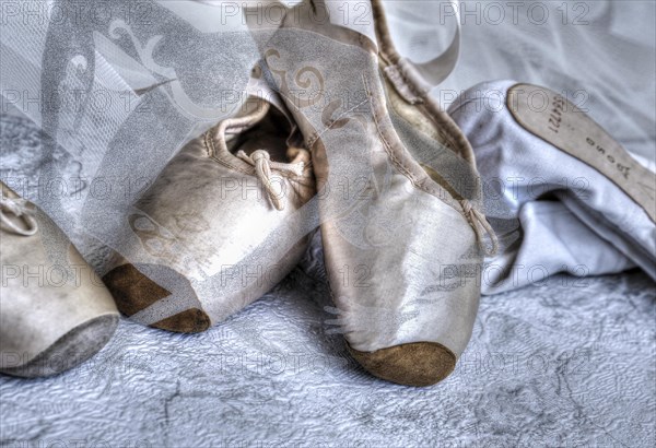 Ballet shoes