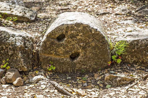 Column fragment at the Colonades Road