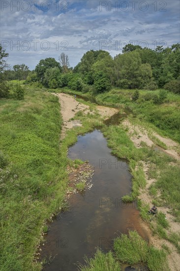 River Neisse near Zelz