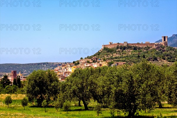 Bosa with olive grove and Castello