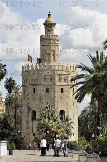 Torre del Oro