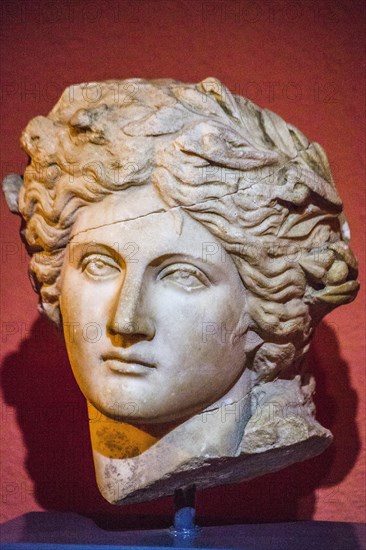 Marble head of Apollo