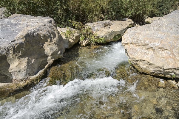 Mountain stream