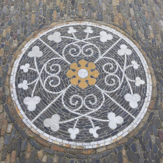 Ornament as paving mosaic on the pavement