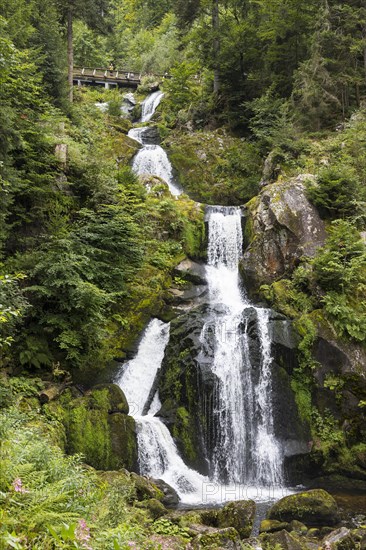 Triberg Waterfalls