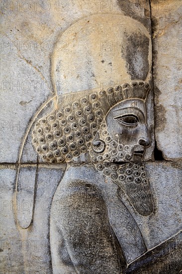 Relief detail of the delegation of nations bringing gifts to Darius on the steps of Apadana Palace