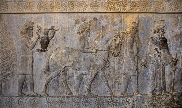 Relief detail of the delegation of nations bringing gifts to Darius on the steps of Apadana Palace